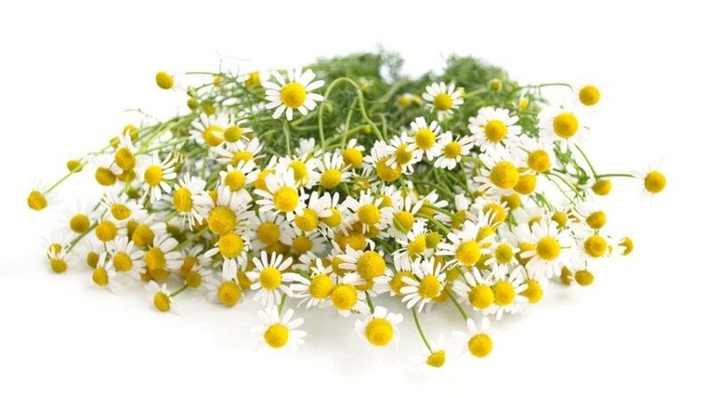 Chamomile is part of Exodermin