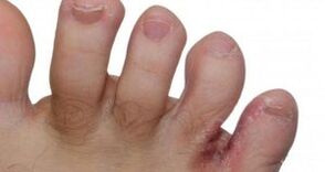 Conx